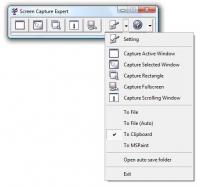 Ultra Screen Capture Expert 2.0.2012.901 screenshot. Click to enlarge!