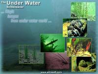 Under Water Screensaver 1.0 screenshot. Click to enlarge!