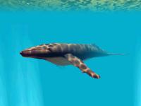 Underwater World 3D Screensaver 1.01.3 screenshot. Click to enlarge!