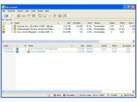 VIP Torrent 4.0.6.0 screenshot. Click to enlarge!