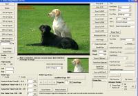VISCOM Image Viewer CP Pro ActiveX SDK 9.53 screenshot. Click to enlarge!