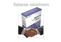 VISOCO dbExpress driver for Sybase ASE (Linux version) 2.3 screenshot. Click to enlarge!