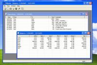 VISaldo 1.1 screenshot. Click to enlarge!