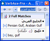 VerbAce-Pro Arabic-English 2.0 screenshot. Click to enlarge!