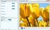 Video Capture to MP4 1.02 screenshot. Click to enlarge!