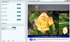 Video Capture to MPEG 1.02 screenshot. Click to enlarge!