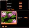 Video Capture to WMV 1.02 screenshot. Click to enlarge!