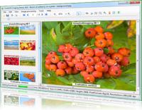 VintaSoftImaging.NET Library 7.2.7.1 screenshot. Click to enlarge!