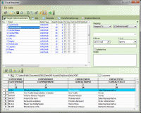 Visual Importer ETL Standard 4.9.9.3 screenshot. Click to enlarge!