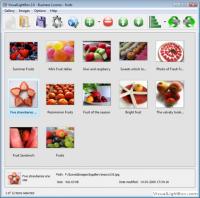 Visual LightBox 4.8 screenshot. Click to enlarge!