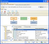 Visual Renamer 1.9 screenshot. Click to enlarge!