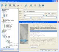 WAPT 8.0 screenshot. Click to enlarge!