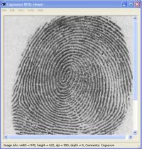 WSQ viewer 4.1 screenshot. Click to enlarge!