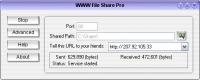 WWW File Share Pro 6.0 screenshot. Click to enlarge!