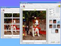 Wall Photo Maker 4.6 screenshot. Click to enlarge!