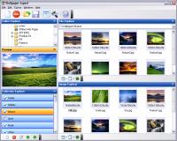 Wallpaper Expert 3.8.4 screenshot. Click to enlarge!