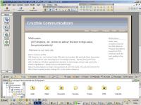 Web Easy Express 6.0 screenshot. Click to enlarge!