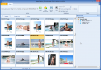Web Gallery Downloader LITE 1.1.0.24 screenshot. Click to enlarge!