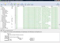Web Link Validator 5.9.592 screenshot. Click to enlarge!