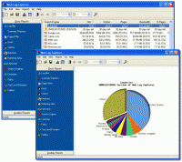 Web Log Explorer Enterprise 9.0.1341 screenshot. Click to enlarge!