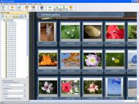 Web Photo Album 1.2 screenshot. Click to enlarge!