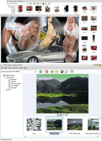 Web Photo Search 2013 screenshot. Click to enlarge!