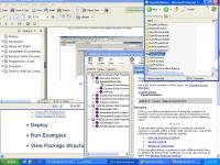 WebCab Functions for Delphi 2.0 screenshot. Click to enlarge!