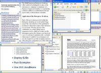 WebCab Optimization (J2EE Edition) 2.6 screenshot. Click to enlarge!