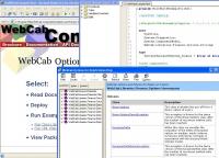 WebCab Options and Futures for Delphi 3.1 screenshot. Click to enlarge!