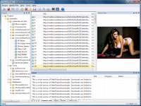WebPictureDownload 1.1.0.4 screenshot. Click to enlarge!