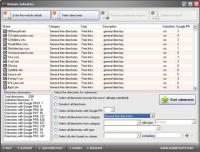 Website Submitter 4.0 screenshot. Click to enlarge!