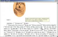 White Fang - Audio-Text Synchronized book 2.0 screenshot. Click to enlarge!