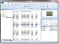 WinCatalog 2012 3.7 screenshot. Click to enlarge!