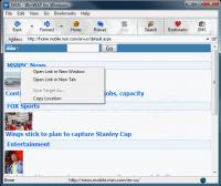 WinWAP for Windows 4.2.0.290 screenshot. Click to enlarge!