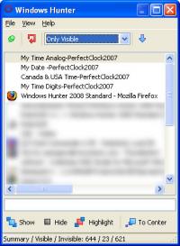 Windows Hunter 2008 Standard 1.0.0.8 screenshot. Click to enlarge!