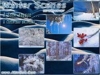 Winter Scenes Screensaver 1.1 screenshot. Click to enlarge!