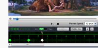 WonderFox Video Watermark 3.3 screenshot. Click to enlarge!