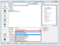 Word Convert 2.46 screenshot. Click to enlarge!