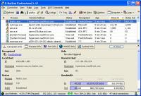 X-NetStat Professional 5.59 screenshot. Click to enlarge!
