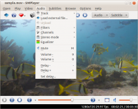 X-SMPlayer 17.4.0.8495 [rev6] screenshot. Click to enlarge!