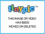 XP Repair Professional 4.1 screenshot. Click to enlarge!