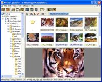 XnView 2.40 screenshot. Click to enlarge!