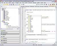 Zeus for Windows 3.98i screenshot. Click to enlarge!