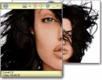 ZoomMagic 3.01 screenshot. Click to enlarge!