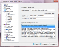 bitcontrol Video Decoder 4.0.0.0 screenshot. Click to enlarge!