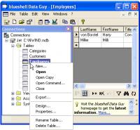 blueshell Data Guy Professional 2.03.0001 screenshot. Click to enlarge!
