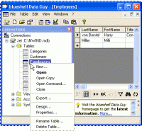 blueshell Data Guy 2.03.0004 screenshot. Click to enlarge!