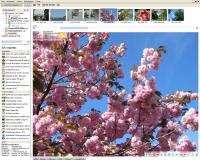 cPicture 3.7 screenshot. Click to enlarge!
