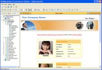 dbQwikSite Professional 5.2 screenshot. Click to enlarge!