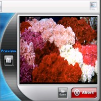 dvdXsoft DVD to iPod Converter Pro 3.3 screenshot. Click to enlarge!
